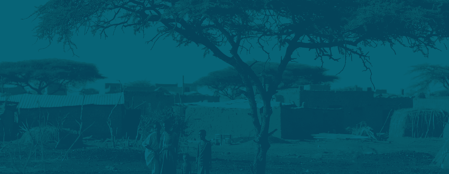 Sudan landscape background